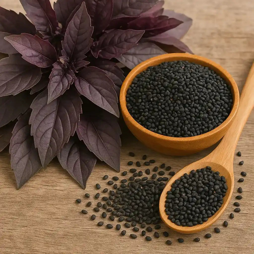 BASIL purple