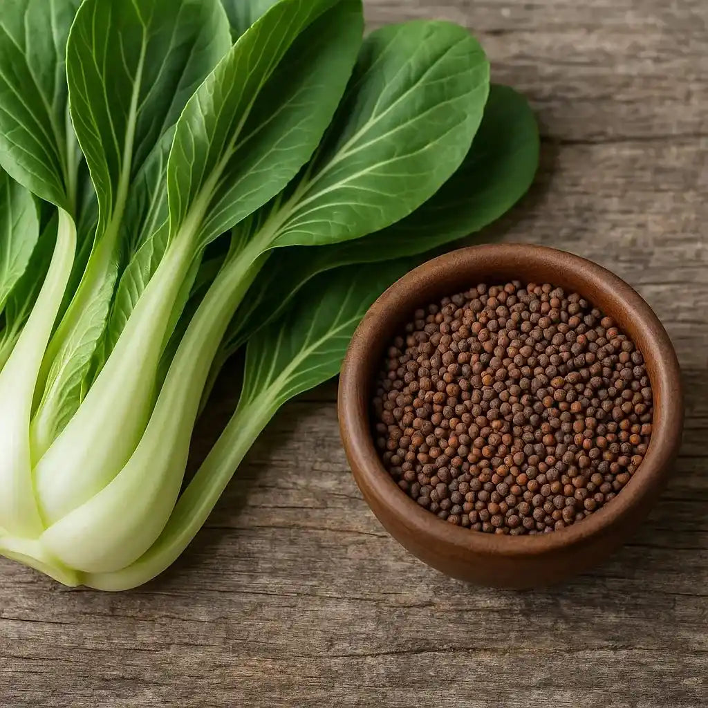 Pok-Choi
