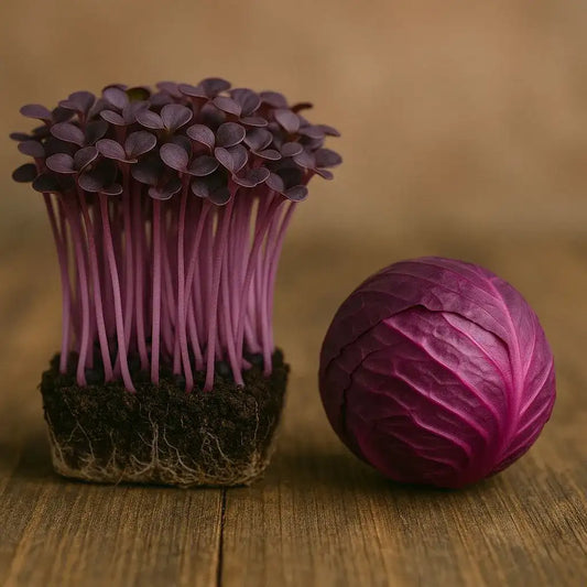 Red Cabbage